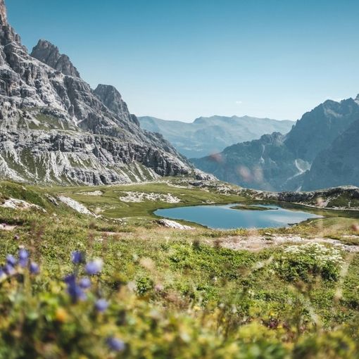 Il trenino verde delle alpi: un'escursione fuori dal comune