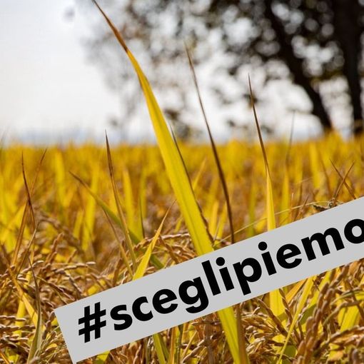 La Regione promuove aziende agricole e prodotti agroalimentari made in Piemonte