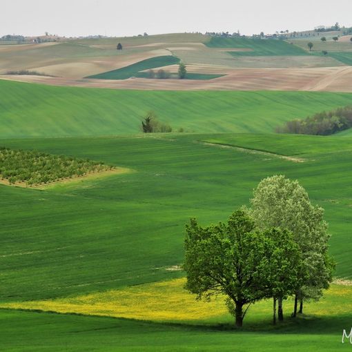 Ph Merfephoto - archivio