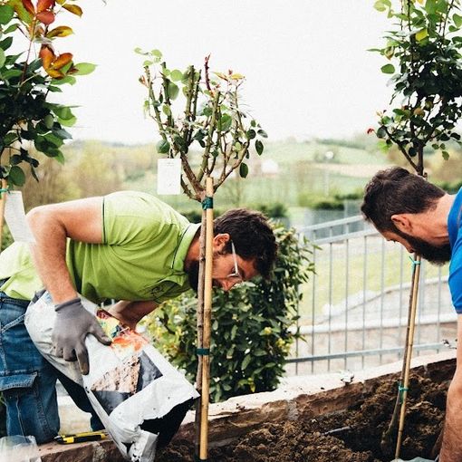 Inaugura ad Asti il nuovo punto vendita di Rilate Verde