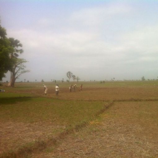 Casamance 2019