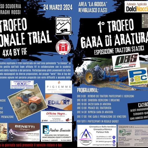 La locandina