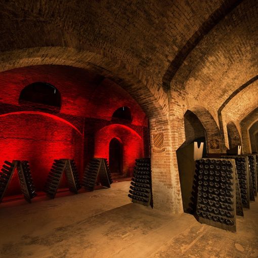 Le storiche cantine di Bosca