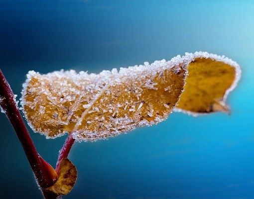 Gelate limitate ma temperature decisamente sotto la media stagionale