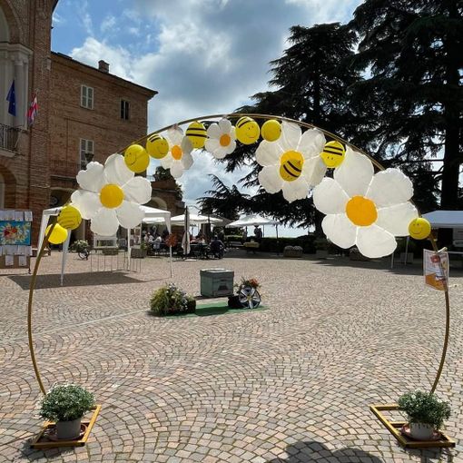 Alcune immagini della giornata
