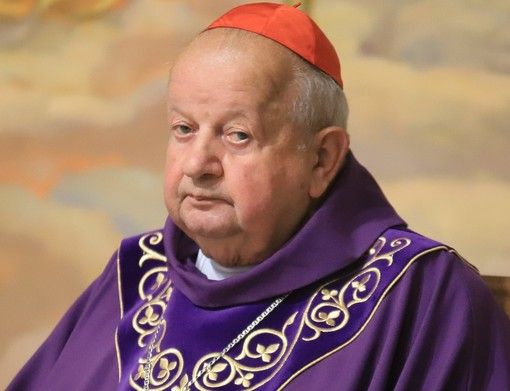 Il cardinale Stanislao Dziwisz