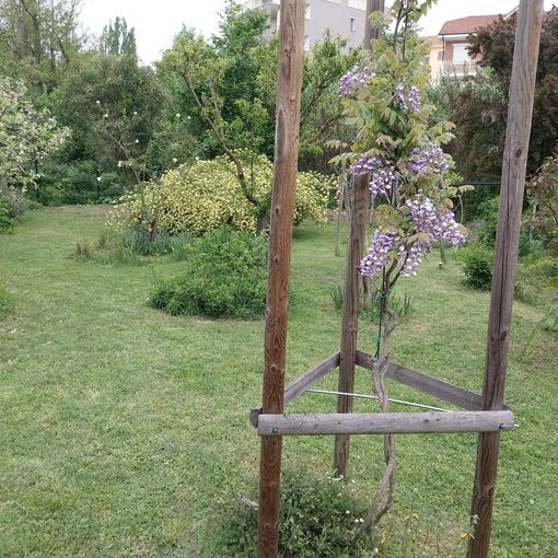 Con il FAI alla scoperta del &quot;Giardino segreto di Arianna&quot;, nelle domeniche 12 e 19 maggio