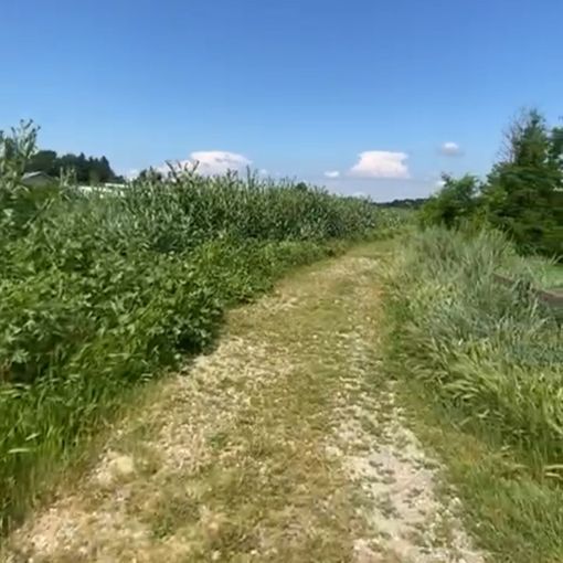 Alcune immagini postate dalla consigliera comunale Vittoria Briccarello