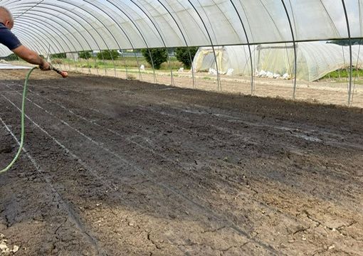 A Motta di Costigliole di applica un'importante innovazione agricola