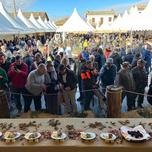 La Fiera Nazionale del Tartufo di Murisengo diventerà &quot;internazionale&quot;