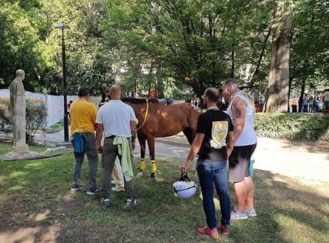 Il Rione San Silvestro organizza un corso per artieri