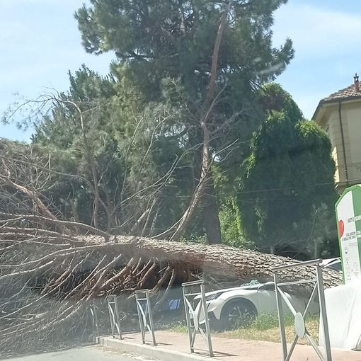Immagine tratta dal gruppo social &quot;Se sei di Nizza Monferrato&quot;