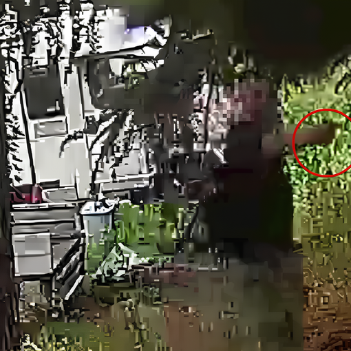 Un fermo immagine tratto dal video diffuso dai carabinieri