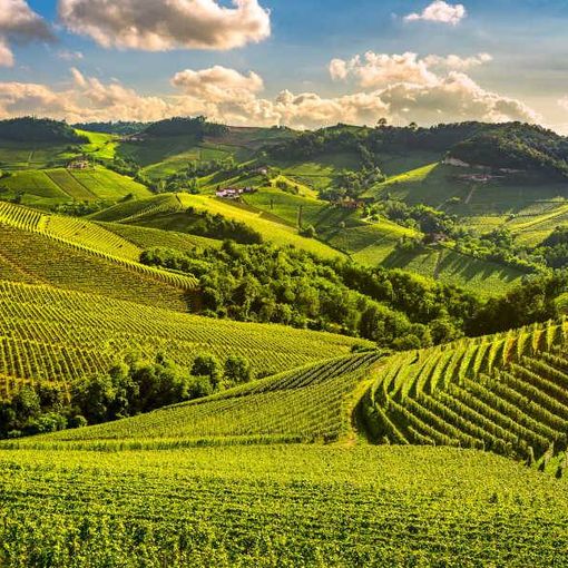Paesaggi vitivinicoli dell'Astigiano