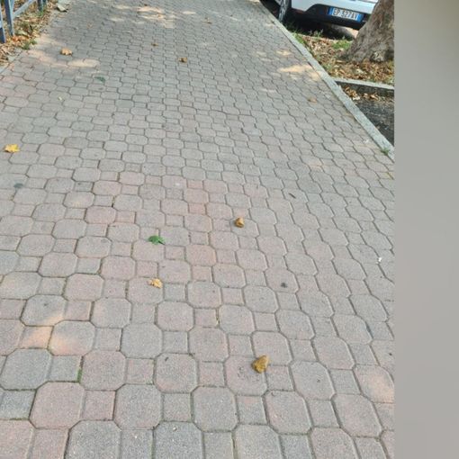 La foto inviataci dalla nostra lettrice con il marciapiede imbrattato di deiezioni canine