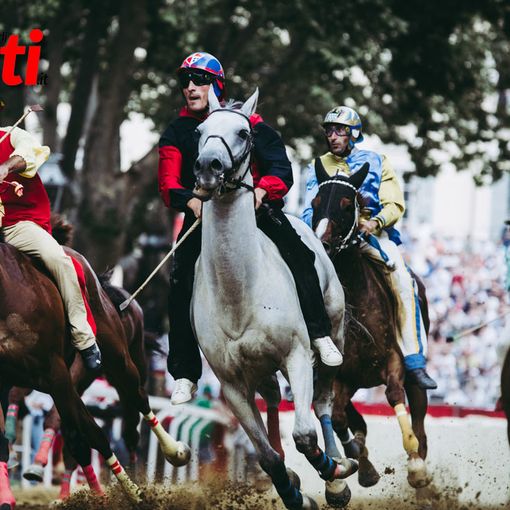Il cavallo di San Damiano in corsa (Ph Barbara Guazzone)