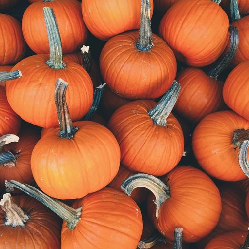 Benvenuto ottobre e alla magia dell’Ottobrata