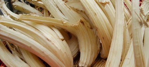 Maltempo, la sagra del cardo gobbo di Incisa Scapaccino si sposta al primo novembre