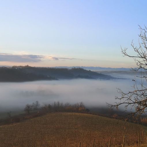 pH. Canale Telegram Dati Meteo Asti