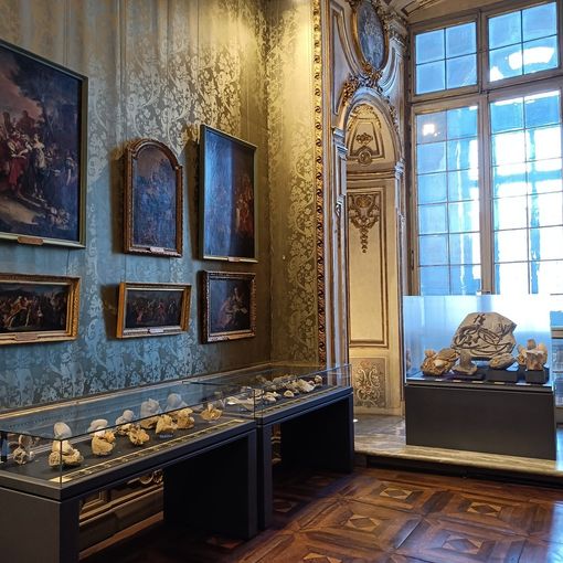 La sala del Gabinetto Cinese di Palazzo Madama
