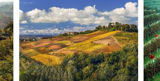 La Meraviglia Unesco: Langhe, Roero e Monferrato attraverso gli occhi di tre fotografi