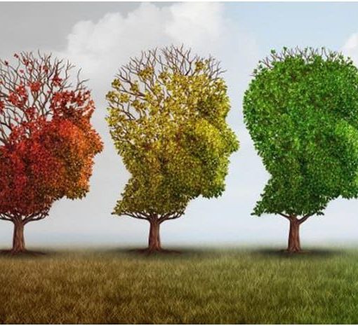 immagine tratta da Google