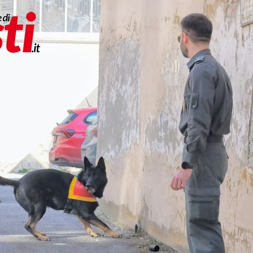 Guardie provinciali con il cane Hero -  (Ph. Merfephoto - Efrem Zanchettin)