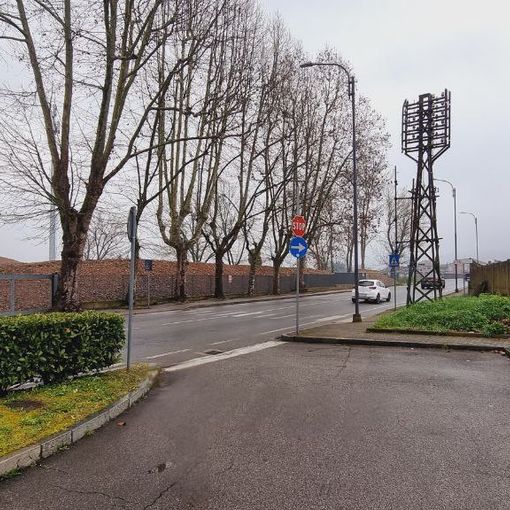 Quinto giorno di sciopero della fame in difesa dei platani di corso Savona, davanti agli uffici comunali