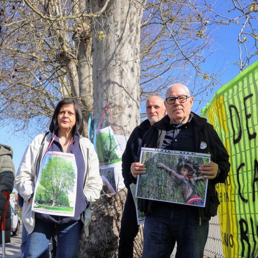Il recente presidio contro l'abbattimento
