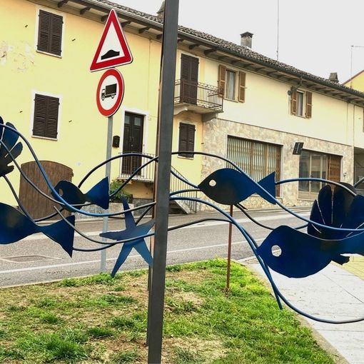 Pesciolini in strada a Villafranca