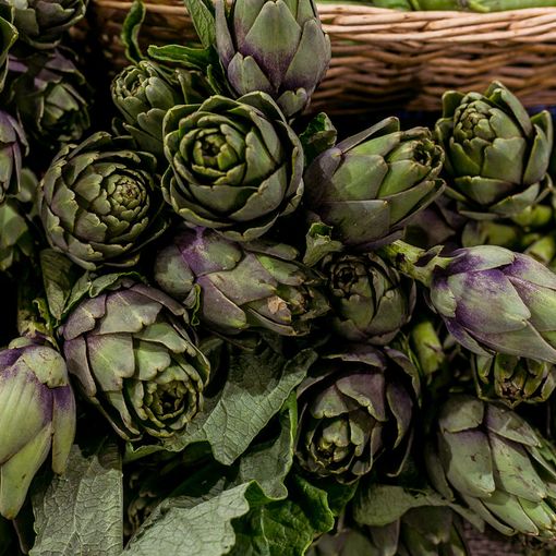 Costigliole d’Asti celebra il carciofo astigiano con la prima Sagra dell’articiòch