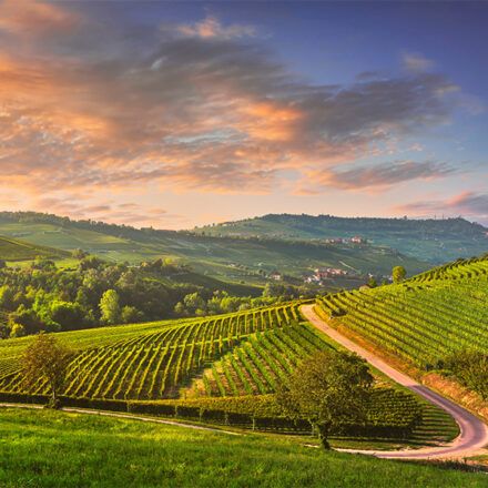 Montechiaro celebra il Tartufo Bianco del Monferrato e i suoi 825 anni di storia