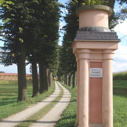 Mais e soia: una giornata dimostrativa alla Fondazione Podere Pignatelli