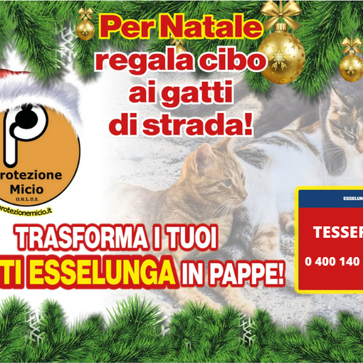 A Natale si possono aiutare i mici di nessuno con la tessera Esselunga
