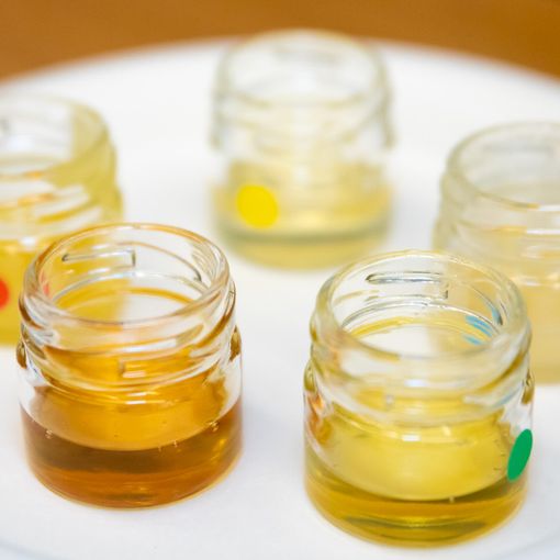 Le degustazioni di miele che hanno reso più dolce il Piemonte