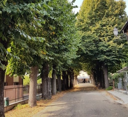 A Villanova d'Asti iniziativa per la valorizzazione e la tutela del patrimonio arboreo