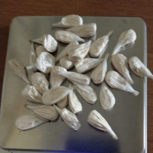 Ovuli di cocaina sequestrati dalla Squadra Mobile di Asti