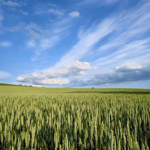 Le tensioni tra Russia e Ucraina 'spaventa' anche il mercato alimentare