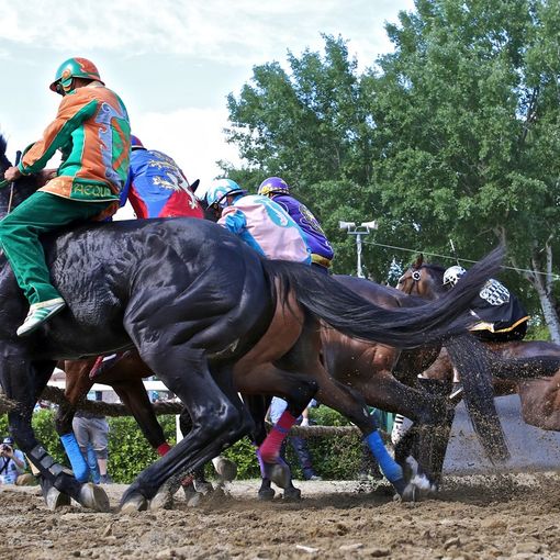 Un'immagine di una passata edizione del Palio di Fucecchio (foto Palio delle Contrade di Fucecchio)