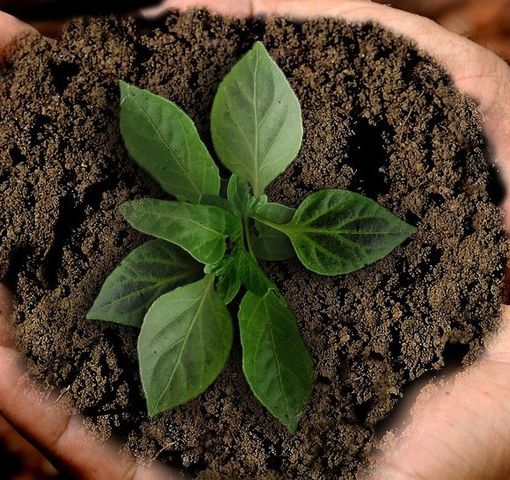 Fridays for Future Asti: &quot;Necessario taglio netto alle emissioni. I nostri non sono mai stati capricci&quot;