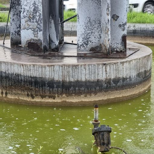 Intervento per rimuovere il putridume dalla fontana di corso Savona