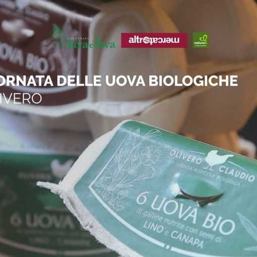 Al NaturaSì di Asti giornate dedicate agli allevamenti avicoli certificati bio e relativa produzione di uova