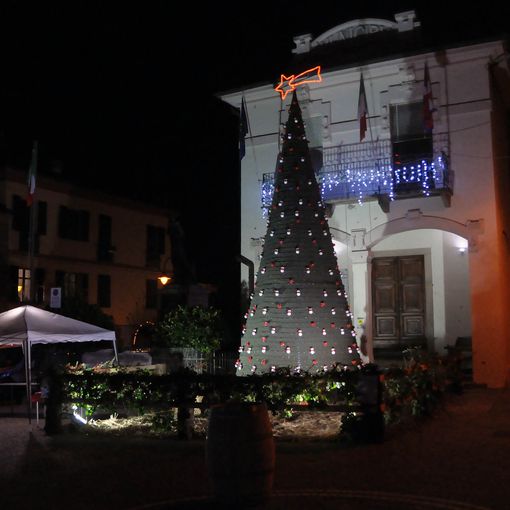 Albero di Scurzolengo