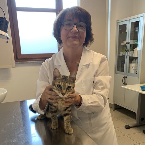 La dottoressa Cerrato con King, primo paziente del nuovo centro veterinario