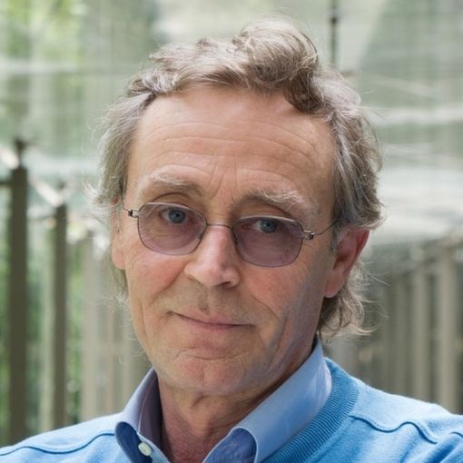 Si recupera l'appuntamento con Andrea Vitali, ospite del Cortile dei lettori con la libreria Alberi d'acqua