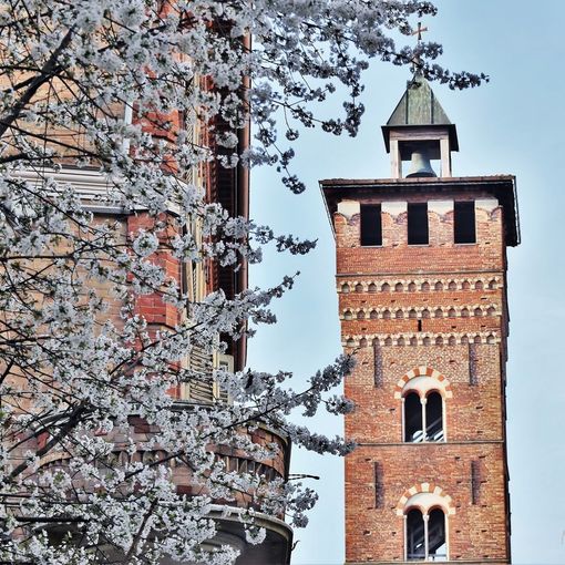 Foto di Merfephoto