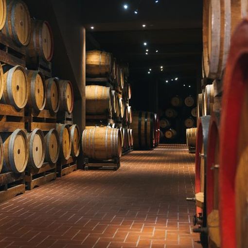 Sabato 29 e domenica 30 maggio cantine aperte presso Mazzetti d’Altavilla