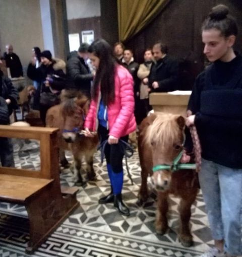 Domani alla parrocchia Santa Caterina di Asti una particolare messa per benedire gli animali