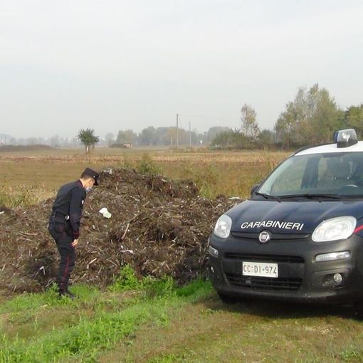 Immagini inerenti l'operazione dei Carabinieri Forestali