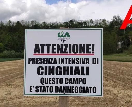 Uno dei cartelli affissi nell'Astigiano in aree danneggiate da fauna selvatica